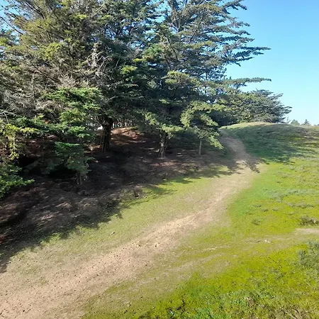 Charmant T2 Renove Proche Plage, Commerces, Parking Gratuit, Animaux Acceptes - Fr-1-324a-54 * Saint-Hilaire-de-Riez